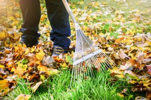 gardener_raking_leavs